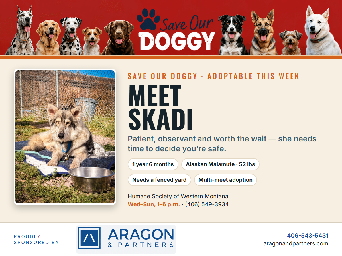 Save Our Doggy: Meet Skadi